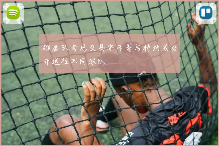 雄鹿队考虑交易字母哥与特纳或分开送往不同球队